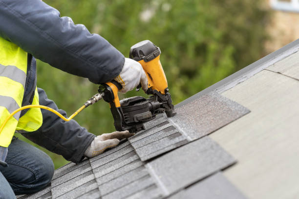 Best Roof Moss and Algae Removal  in Carefree, AZ